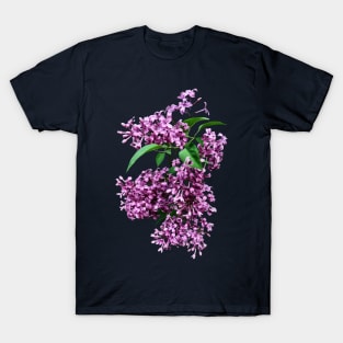 Lilacs - Elegant Lilacs T-Shirt